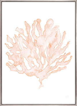 Soft Caribbean Coral II (Canvas)