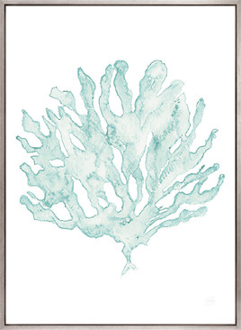 Soft Caribbean Coral VIII (Canvas)