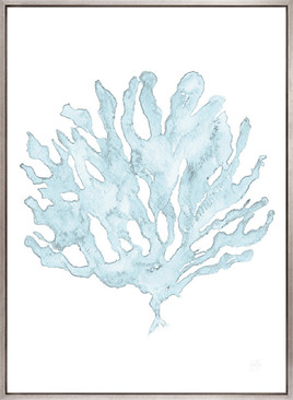 Soft Caribbean Coral XI (Canvas)