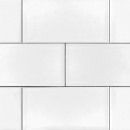 Glossy White 4"x8"