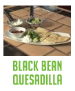 Black Bean Quesadilla
