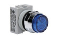 IDEC APW1B99D-R-120V Switch