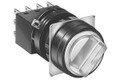 IDEC LW1F-2C10-GD Switch