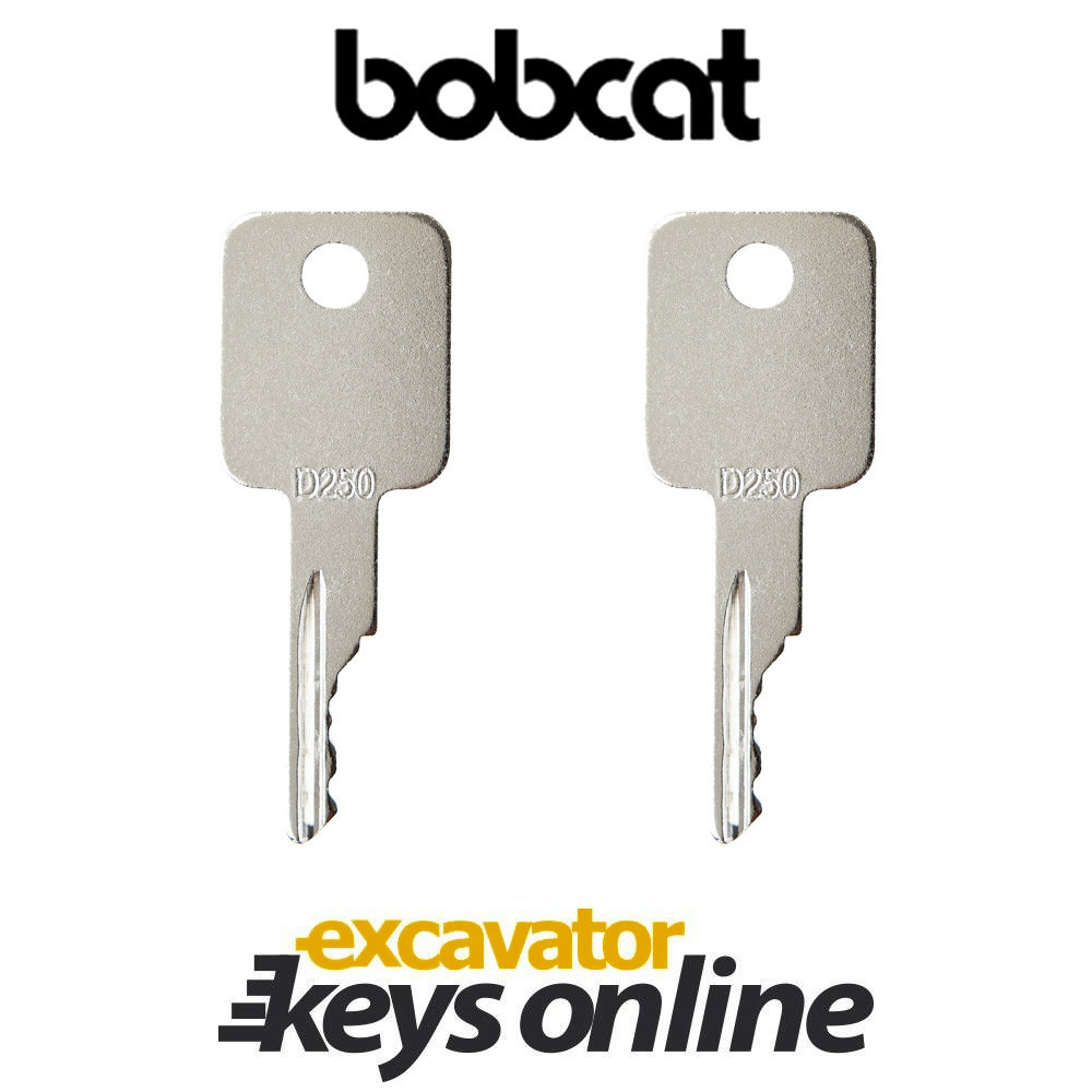 Set Of 2 Excavator key D250 Bobcat & Case Skid Steer 