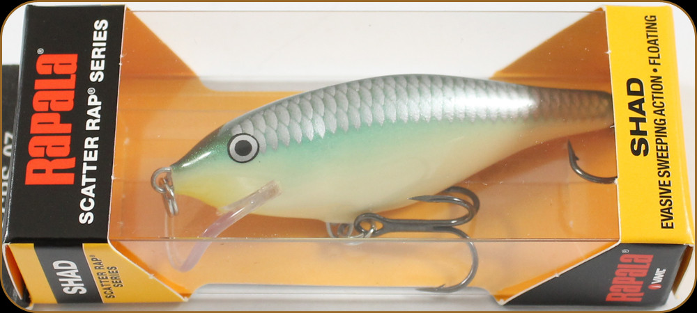 scatter rap shad