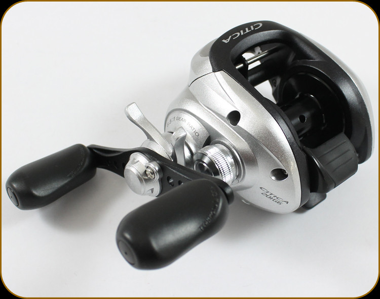 Shimano CI201G6 Citica Cast Reel 3BB+1 6.5:1 180/8 155/10 110/14 LH -  Discount Fishing Canada