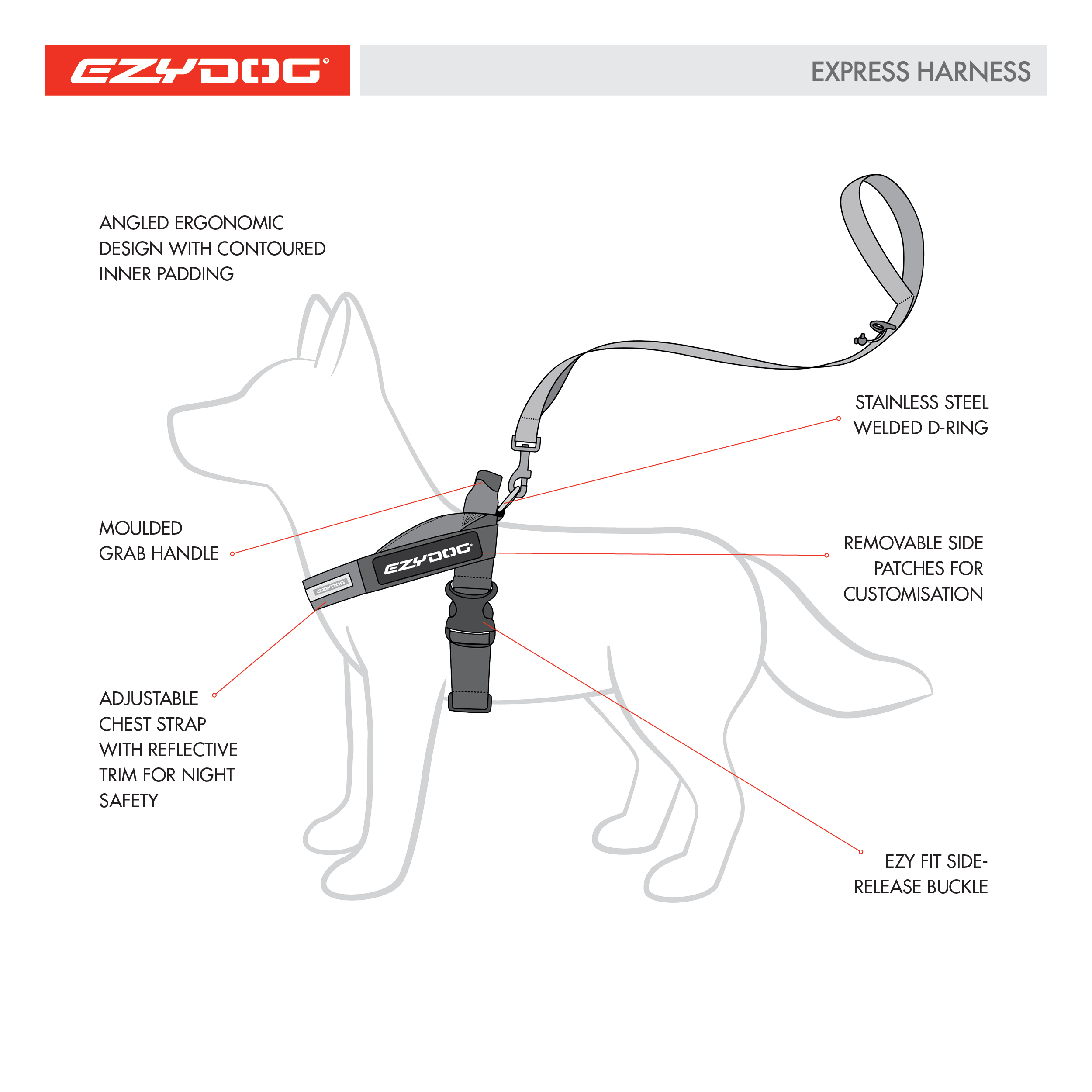 experss-harness-dog-diagram-square.jpg