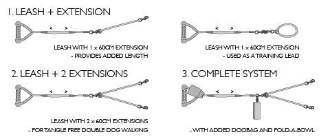 standard-extension-dog-diagrams.jpg