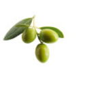 337080-antipasti-olives-isolated-iii.jpg 337080-antipasti-olives-isolated-iii.jpg