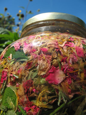 Herbs Infusing In The Sun