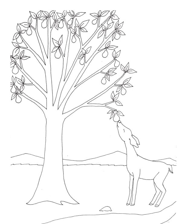 Download and print a coloring page!