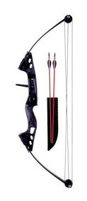 Bear Archery Sharp Shooter Bow Set