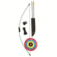 Bear Archery Wizard Bow Set
