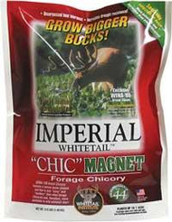 Whitetail Institute Imperial Chic Magnet Forage Chicory Seed