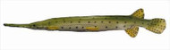 Innerloc Bowfishing Gar Target