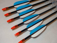 Carbon Express Thunder Express Fletched Youth Arrow