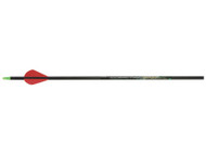 Carbon Express PileDriver Pass Thru Extreme 2" Fletched Carbon Arrows