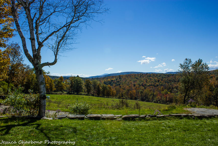 Sugarbush Farm Woodstock, VT Cheese & Maple Syrup Farm