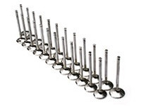 Brian Crower - Stainless Steel Intake and Exhaust Valves for Nissan VQ35DE ('03-'05 Nissan 350z/'03-'05 Infiniti G35)