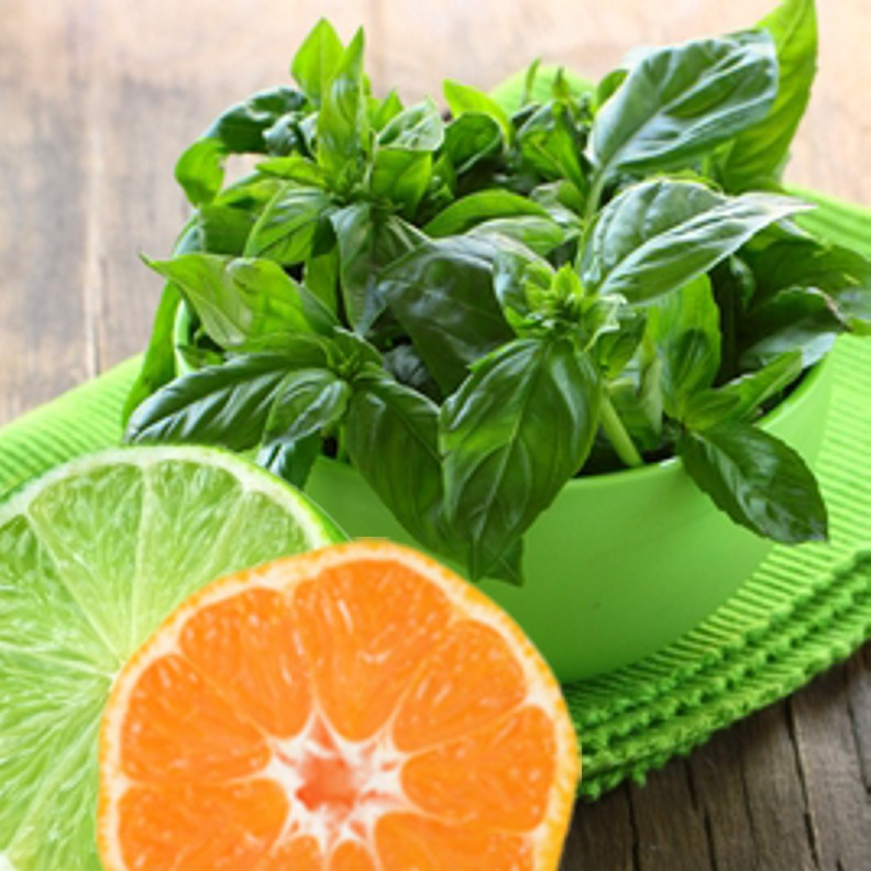 Lime Basil Mandarin (Type) Fragrance Oil Lime Basil Mandarin (Type) Fragrance Oil