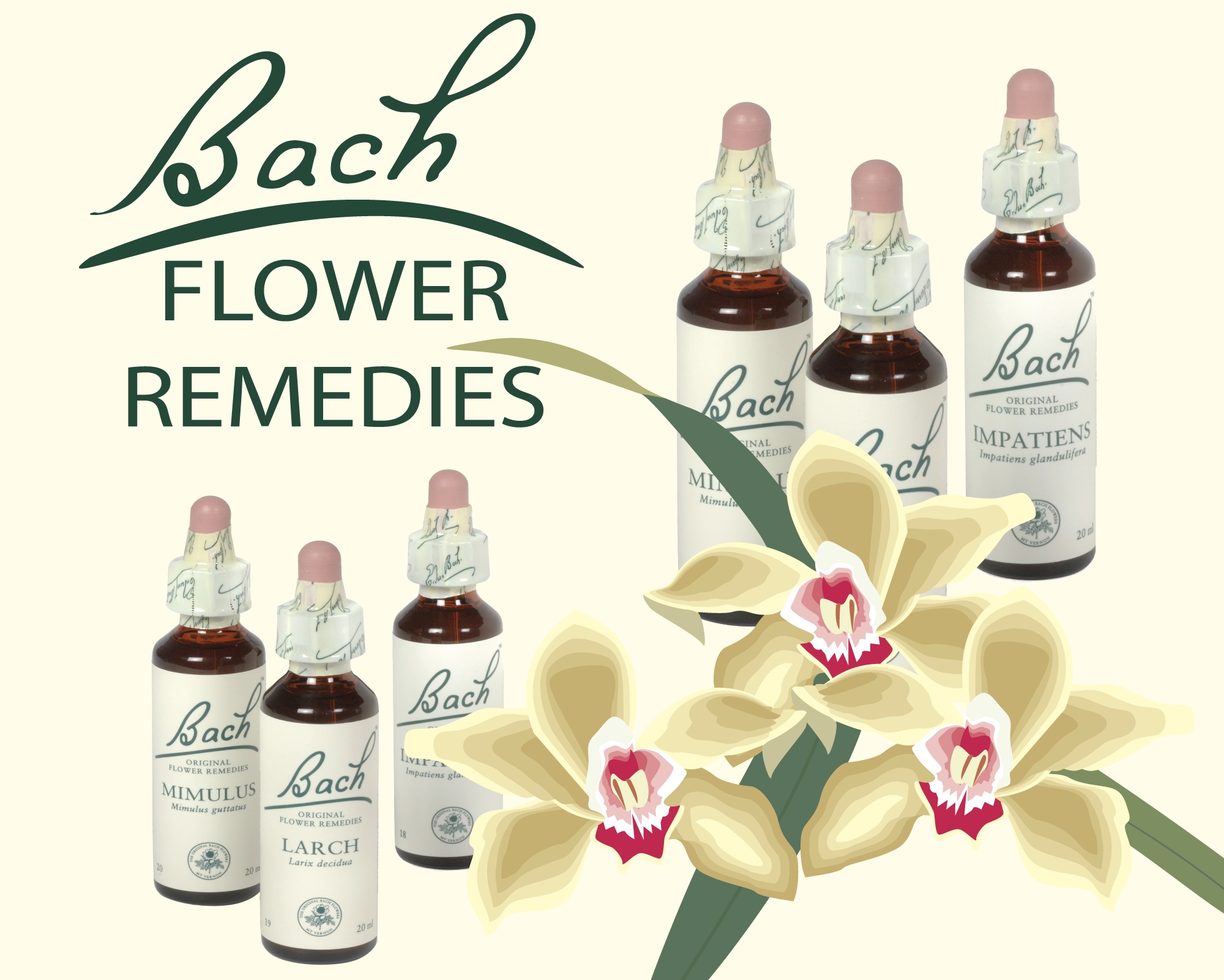 bach-flower-remedies.jpg