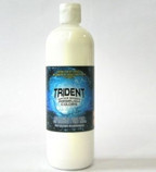 Trident Paint Transparent base