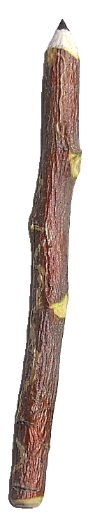 apple-pencil-7.jpg apple-pencil-7.jpg