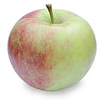 winesap1.jpg