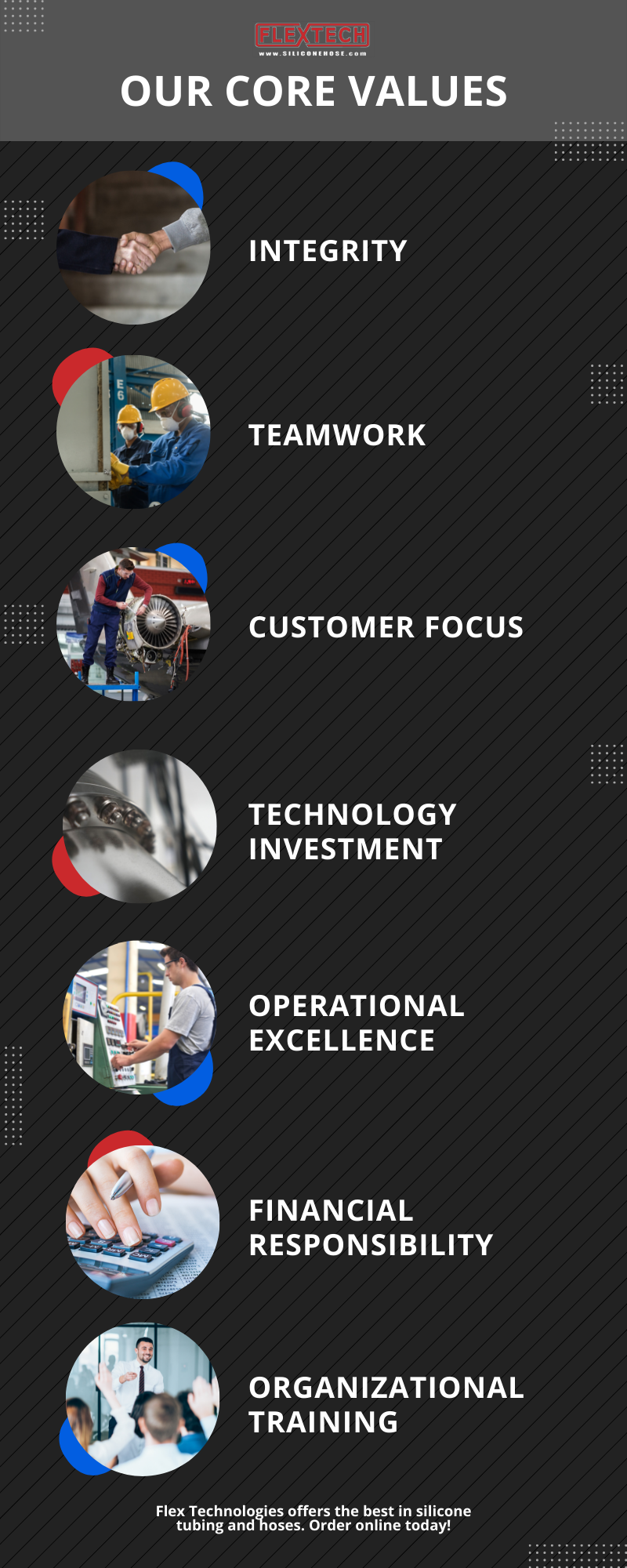 m3537-flex-technologies-inc-infographic-our-core-values-2-.png