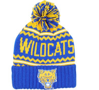 Fort Valley State University Beanie- Front