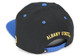 Albany State University Snapback Hat-Black-Back