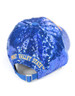 Fort Valley State University Sequin Hat-Back
