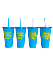 Sigma Gamma Rho Sorority- Set of 4- Glitter Color Changing Cups