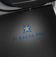 Pi Kappa Phi Fraternity LED Car Door Light- Set of 2