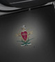 Pi Kappa Alpha PIKE Fraternity LED Car Door Light- Set of 2