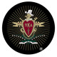 Pi Kappa Alpha PIKE Fraternity LED Car Door Light- Set of 2