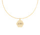 Delta Phi Epsilon DPHIE Sorority Paperclip Style Chain Necklace 