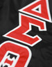 Delta Sigma Theta Sorority Bomber Jacket-Black