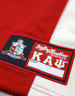 Kappa Alpha Psi Fraternity Football Jersey