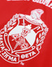 Delta Sigma Theta Sorority Football Jersey-Red