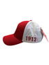 Delta Sigma Theta Sorority Color Block Cap 