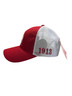 Delta Sigma Theta Sorority Trucker Baseball Cap 