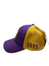 Omega Psi Phi Fraternity Color Block Cap 
