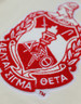 Delta Sigma Theta Sorority Pull Over V-Neck Sweater- Crest-White/Red-Style 2  
