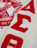 Delta Sigma Theta Sorority Pull Over V-Neck Sweater- Crest-White/Red-Style 2  