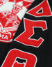 Delta Sigma Theta Sorority Pull Over V-Neck Sweater- Crest-Black/Red
