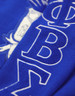 Phi Beta Sigma Fraternity Pull Over V-Neck Sweater- Crest-Blue/White