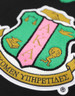Alpha Kappa Alpha Sorority Pull Over V-Neck Sweater- Crest-Black/Pink  