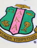 Alpha Kappa Alpha Sorority Pull Over V-Neck Sweater- Crest-White/Pink
