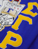 Sigma Gamma Rho Sorority Pull Over V-Neck Sweater- Crest-Blue/Yellow